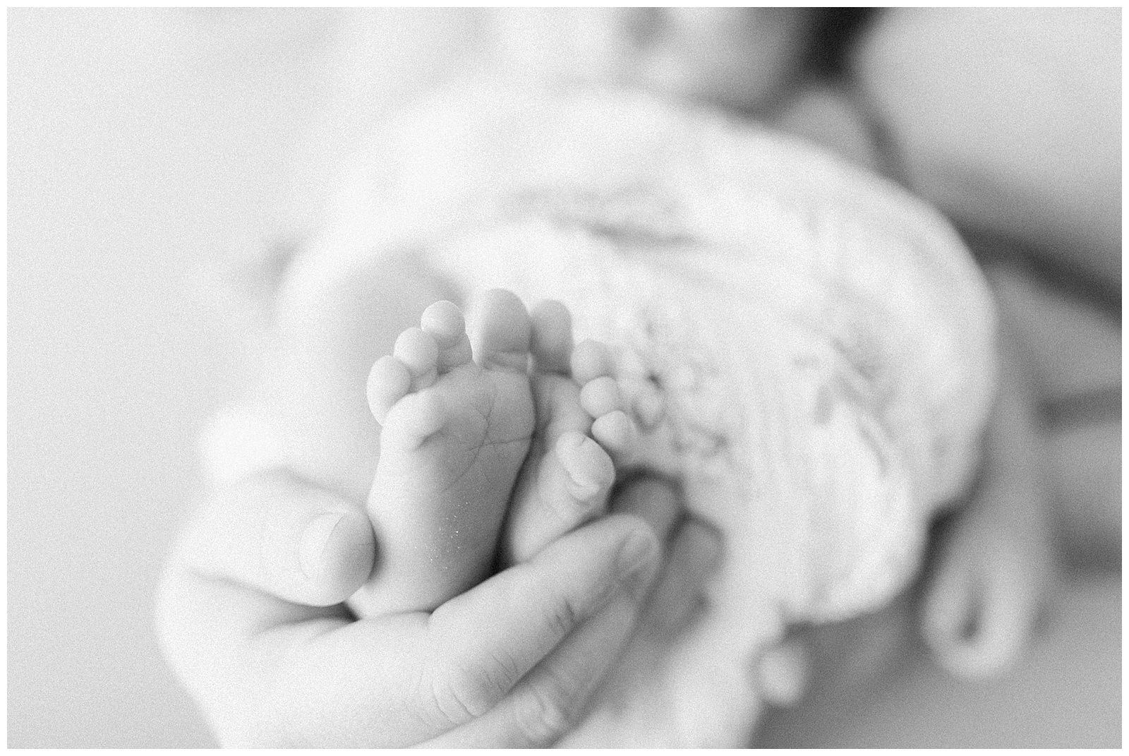 Newborn Feet